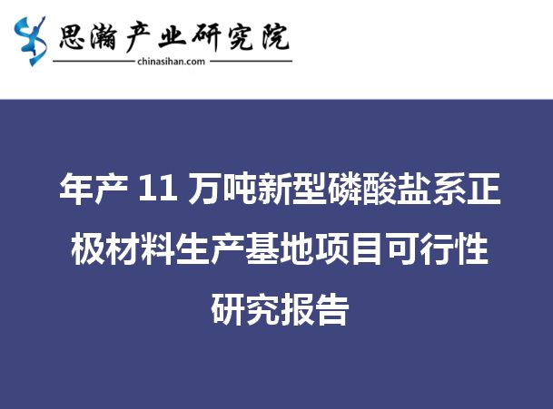 年产11万吨新开云 开云体育APP型磷酸盐系正极材料生产基地项目可行性研究报告(图2)