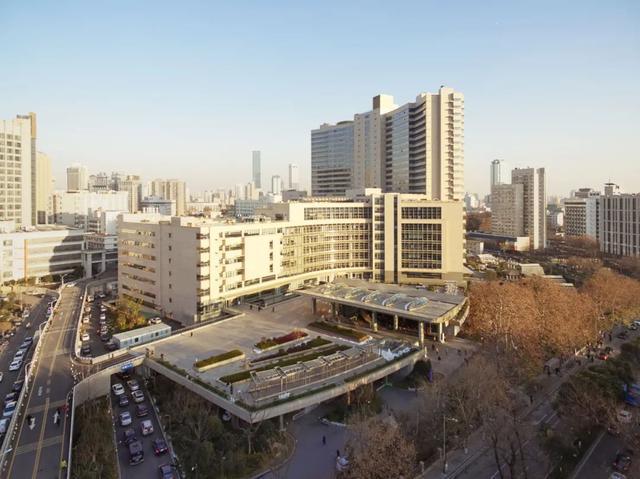 大型综合门急诊病房综合楼工程建设管理开云