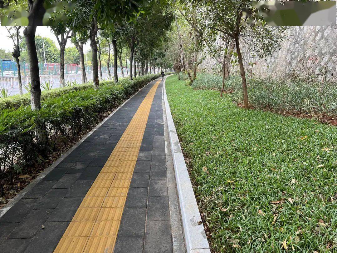 好消息！一批普通开云 开云体育公路工程有新进展(图2)