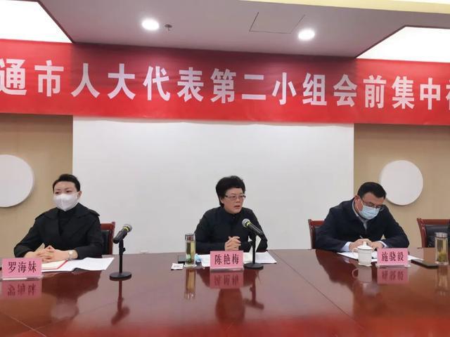 南通市人大代表通州团视察调研交通重点工程建设开云 开云体育平台(图6)