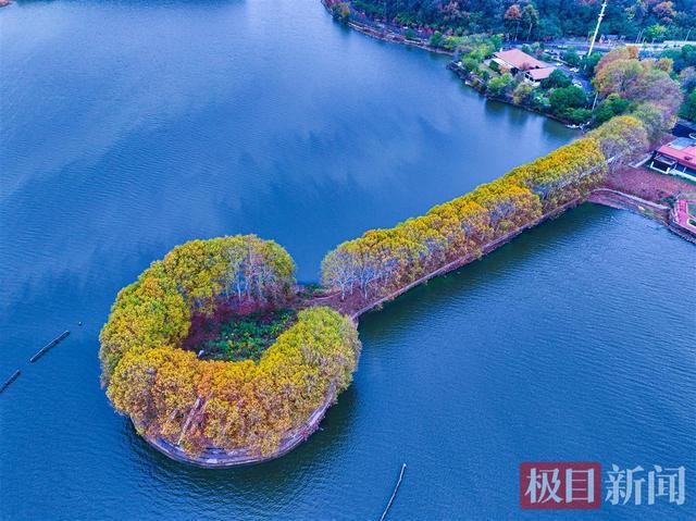 开云 开云体育官网湖北14个建设工程斩获鲁班奖其中9个位于武汉(图2)