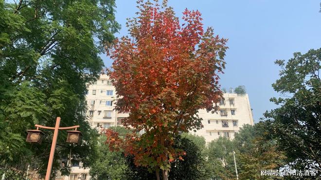 开云 开云体育APP民心守护丨泸州市首张