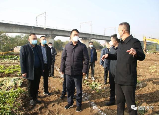 开云体育 开云平台刘新华赴渌江丁家坊段巡