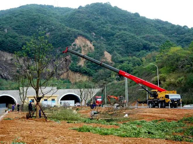 通车在即！台州这条新路要来了！开云 开云体育APP(图2)
