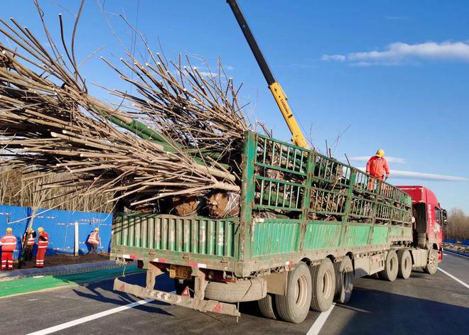 开云 开云体育为中央别墅区人打造便利出行环境！8项公路工程全面复工！(图2)