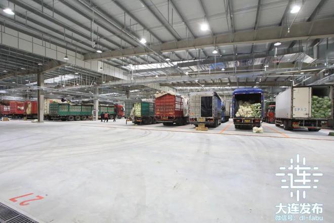 今年大连项目建设“双突破”！开云 开云体