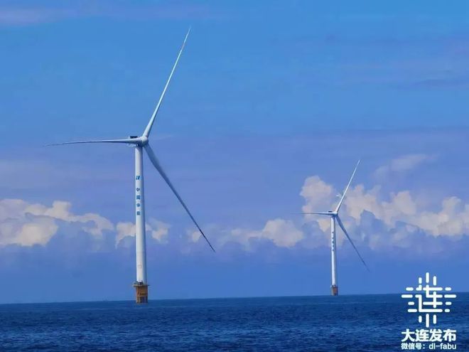 今年大连项目建设“双突破”！开云 开云体育APP(图7)