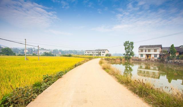 2023年继续实施“乡村建设行动”四大工程同步推进村村都涉及开云 开云体育APP(图4)