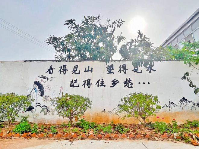 2023年起严整农村“面子工程”农村3类