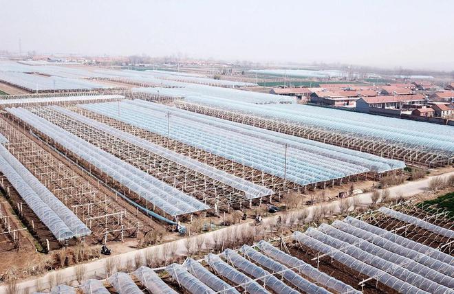 2023年起严整农村“面子工程”农村3类建设或被治理开云体育 开云平台(图4)