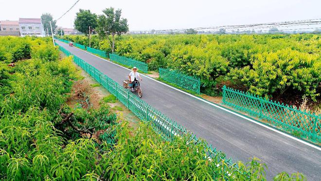 2023年起严整农村“面子工程”农村3类建设或被治理开云体育 开云平台(图2)
