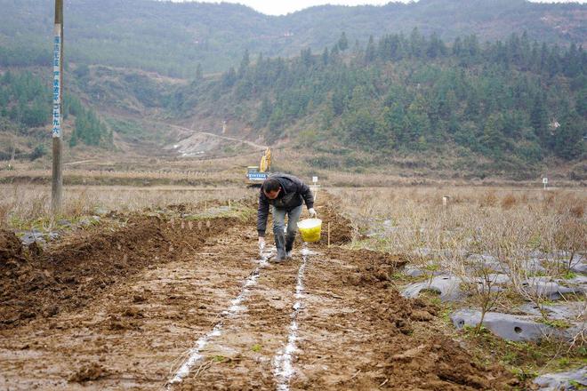 2023年起严整农村“面子工程”农村3类建设或被治理开云体育 开云平台(图6)