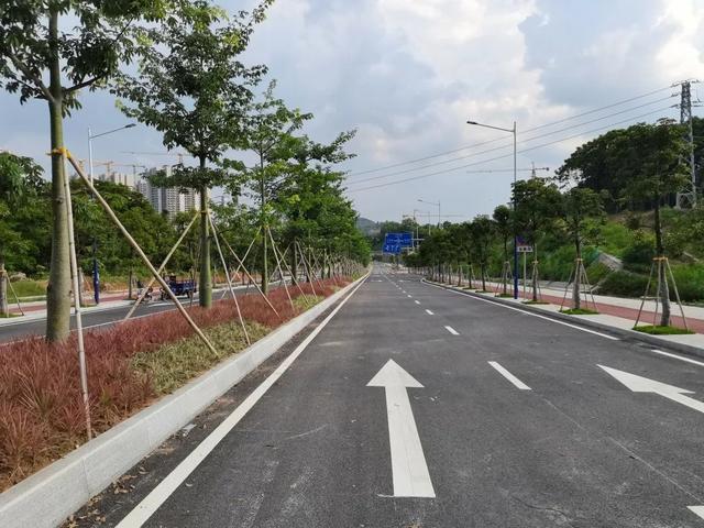 喜讯！增城这项工程拿下中国工程开云 开云体育APP建设质量最高荣誉(图9)