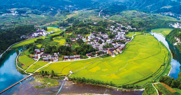 贵州省公路局：开云体育 开云平台2023年将建成美丽农村公路1000公里(图3)