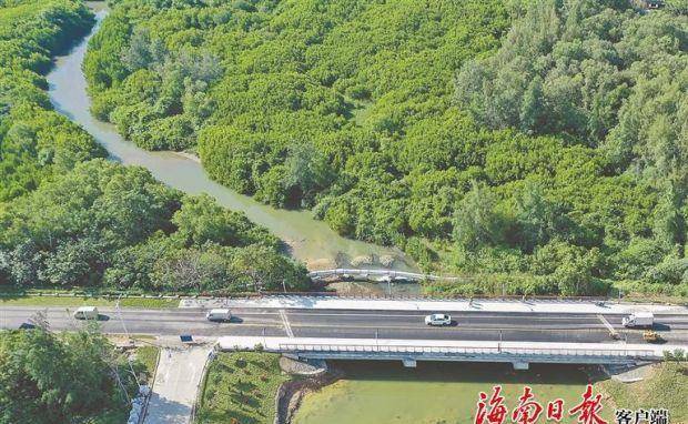 路绿水青山卧蛟龙开云 开云体育APP(图2)