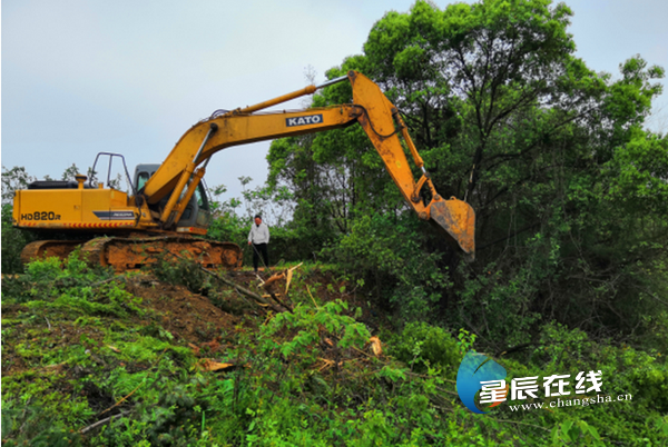 时不我待抢进度 望城3个公路工程项目集中开工开云 开云体育平台(图2)