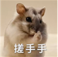 开云 开云体育集合竞价散户也能抓涨停？！