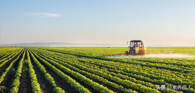 开云体育 kaiyun.com 官网入口中央确定建设项目:2023年农村全面推进5大建设工程村村都涉及(图6) 开云体育 kaiyun.com 官网入口中央确定建设项目:2023年农村全面推进5大建设工程村村都涉及(图6)