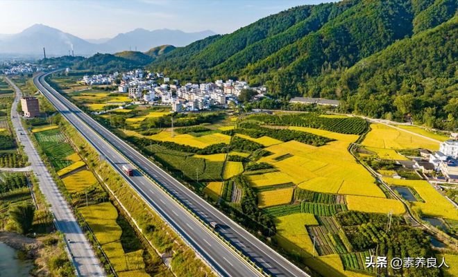 开云体育 kaiyun.com 官网入口