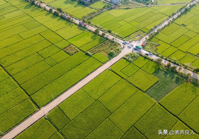 开云体育 kaiyun.com 官网入口中央确定建设项目:2023年农村全面推进5大建设工程村村都涉及(图3) 开云体育 kaiyun.com 官网入口中央确定建设项目:2023年农村全面推进5大建设工程村村都涉及(图3)