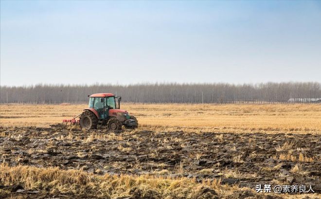 开云体育 kaiyun.com 官网入口中央确定建设项目:2023年农村全面推进5大建设工程村村都涉及(图5) 开云体育 kaiyun.com 官网入口中央确定建设项目:2023年农村全面推进5大建设工程村村都涉及(图5)