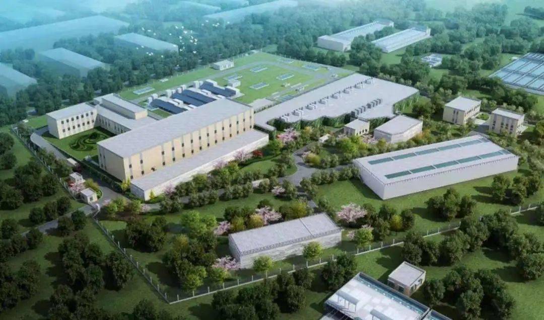 开云 开云体育官网机场联络线、浦东综合交通枢纽……上海今年将加快推进这些重大工程建设(图2)