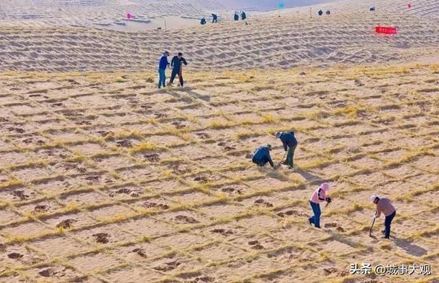 4开云体育 开云官网0年多年三北防护林工程建设为啥挡不住这次北方最强沙尘天气(图7)