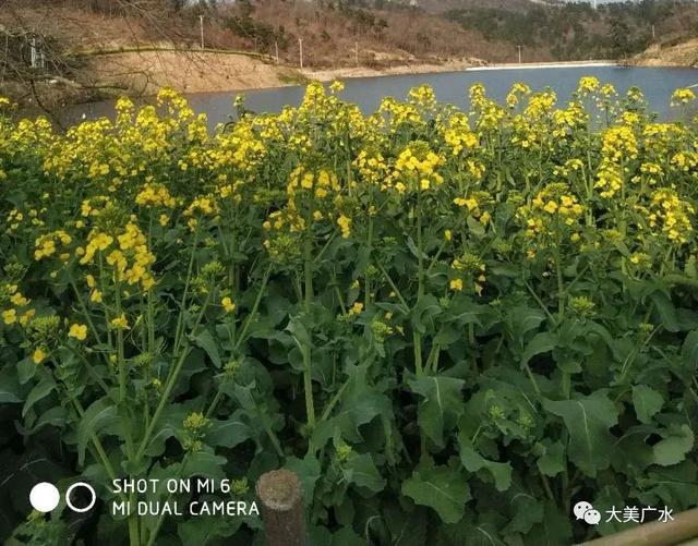 开云体育 kaiyun.com 官网入口