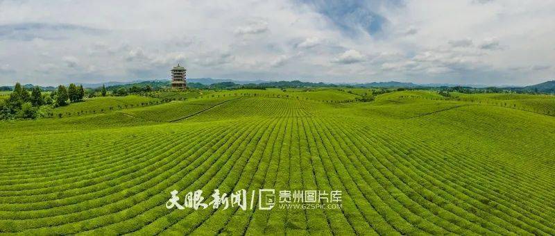 项目建设“跑起来” 经济成效“开云 开云