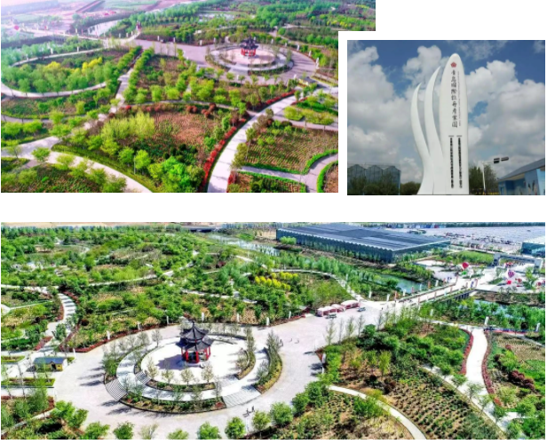 Kaiyun 开云青岛国际牡丹产业园项目获评“山东省工程建设泰山杯奖”二等奖(图2)