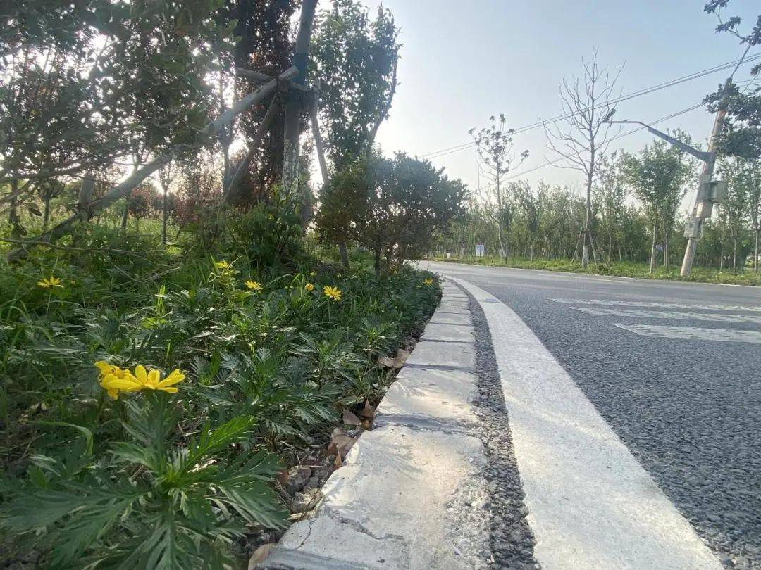 青浦这个村道路完成改造民生Kaiyun 