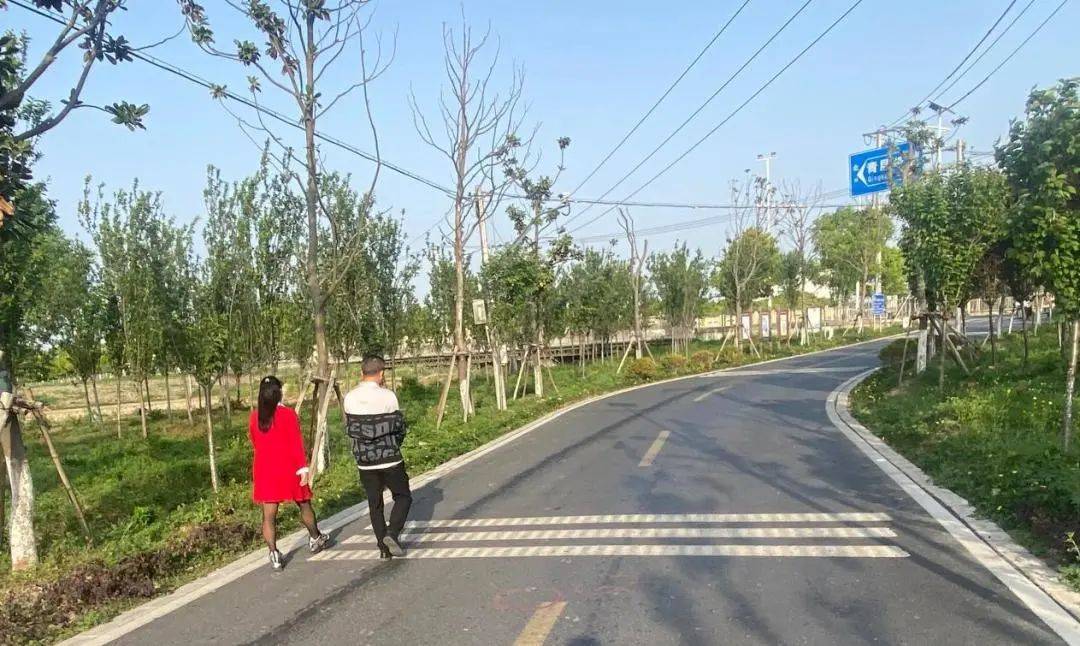 青浦这个村道路完成改造民生Kaiyun 开云工程秒变“幸福工程”(图4)