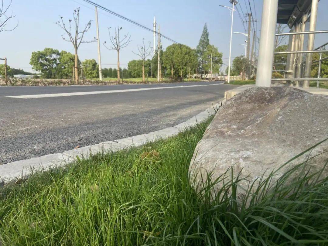青浦这个村道路完成改造民生Kaiyun 开云工程秒变“幸福工程”(图2)