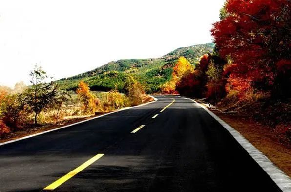 开云 开云体育官网公路类项目有这些！2020年河南省公布980个重点建设项目(图2)