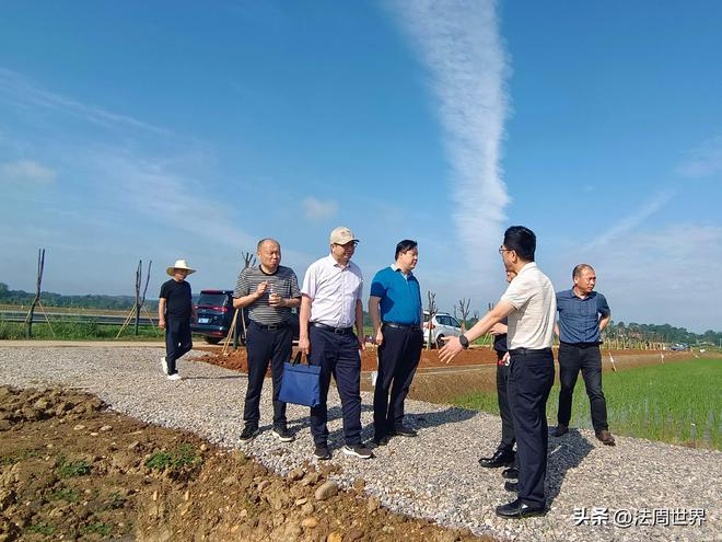 开云 开云体育官网农业农村部来澧开展高标