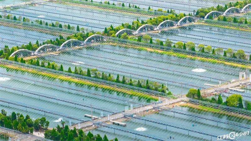 江苏24小时·滚动推送｜沭阳县：宿连高速公开云体育 Kaiyun.com 官网入口路工程项目建设快速推进(图6)