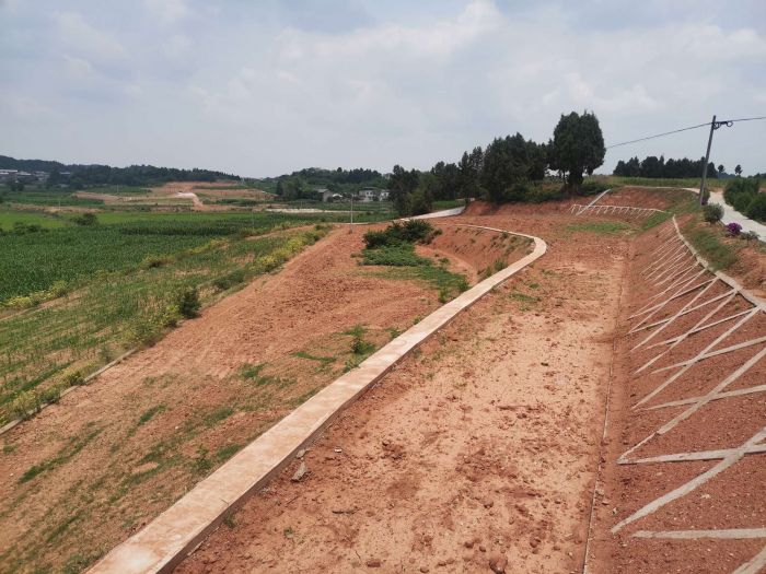德阳筑牢“防汛网”Kaiyun 开云  有序推进各项水利工程建设(图2)