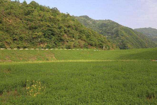 开云体育 开云平台“洞穿”秦岭调水 长江黄河“握手”——写在引汉济渭工程通水之际(图12)