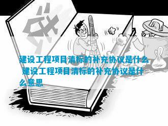 开云 开云体育官网建设工程项目清标的补充