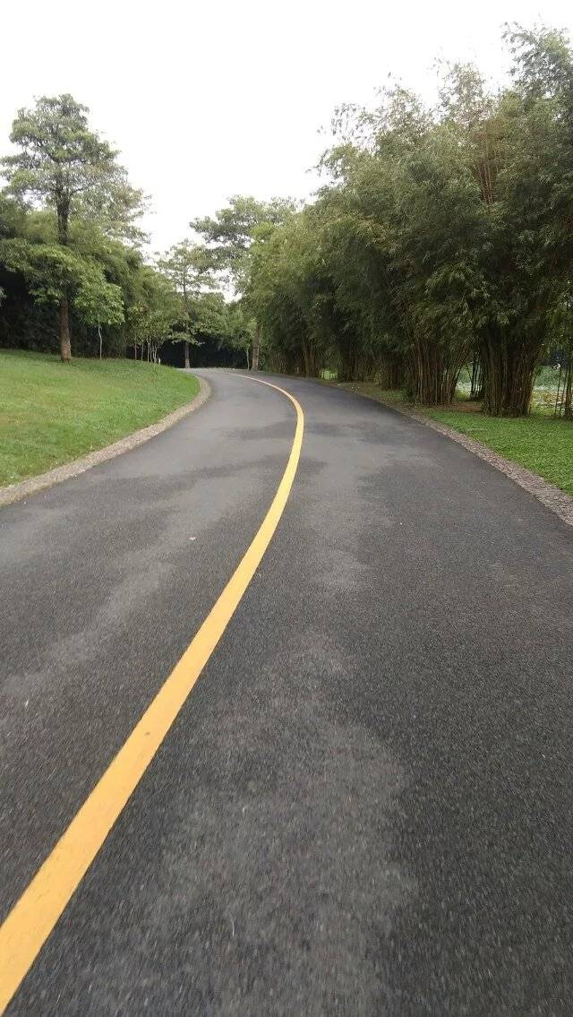 广东湛江“四好农村公路”建设工程包括6条道路开云体育 开云平台路线公里(图3)