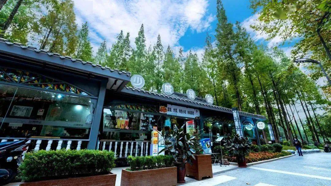 【十大工程】统筹实施重点领域项目545个成都幸福美好生活十大工程今年这样安排→Kaiyun 开云(图5)