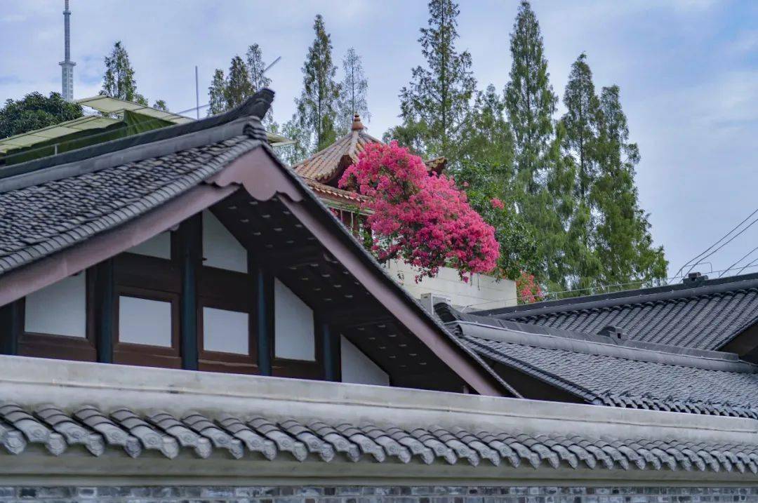 【十大工程】统筹实施重点领域项目545个成都幸福美好生活十大工程今年这样安排→Kaiyun 开云(图9)