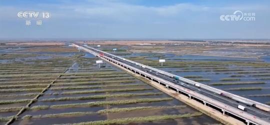 多项数据看中国经济活开云 开云体育官网力 各地秋粮收获丰产在“握”(图4)