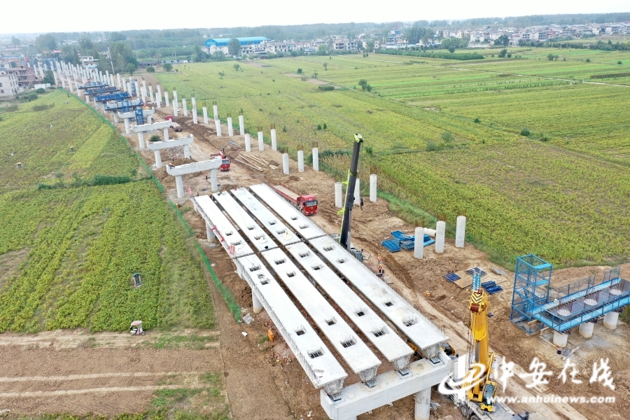 开云体育 开云平台国庆我在岗徐淮阜高速公路项目 600人奋战抢工期(图2)