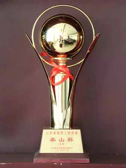 开云APP 开云官网入口全国优质工程的奖项大全都在这儿了(图24)