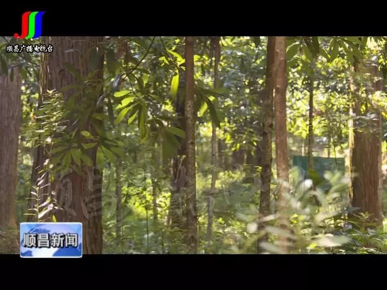 践行“两山”理念开云体育 Kaiyun.com 官网入口 推动项目建设(图3)