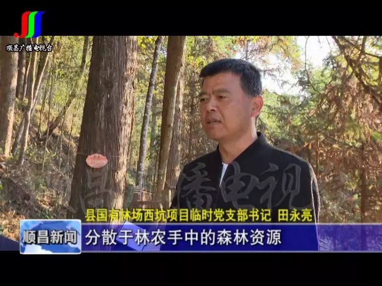 践行“两山”理念开云体育 Kaiyun.com 官网入口 推动项目建设(图4)