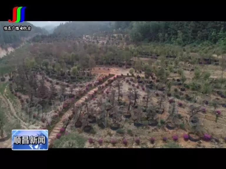 践行“两山”理念开云体育 Kaiyun.com 官网入口 推动项目建设(图6)