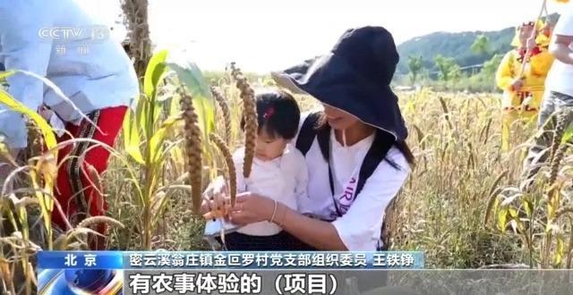 开云体育 Kaiyun.com 官网入口乡村土路→“网红”打卡路 这些农村公路“走”出了新花样(图8)