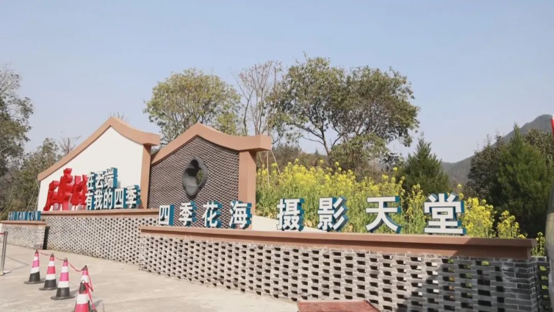 开云 开云体育平台稳步推进“千万工程”建设 绘就和美乡村新图景(图3)